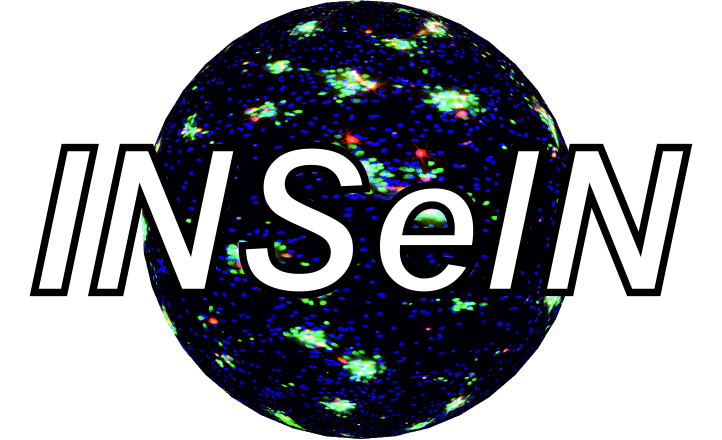 Logo INSelN
