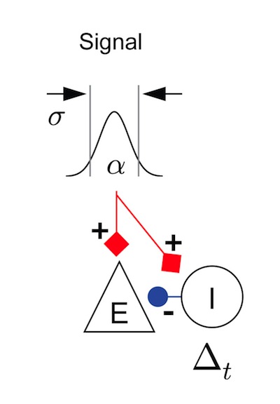 New publication by BCF members in the Journal of Computational Neuroscience