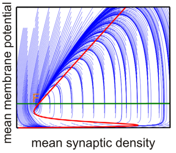 New article in PLoS Computational Biology: Self-Organized Criticality in Developing Neuronal Networks