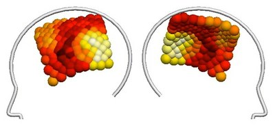 ‘Brain waves’ challenge area-specific view of brain activity 